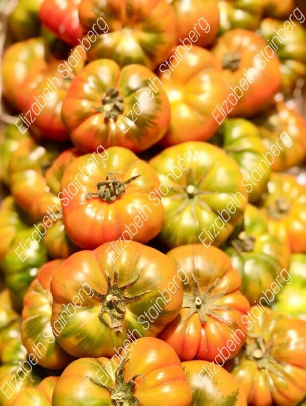 tomatoes